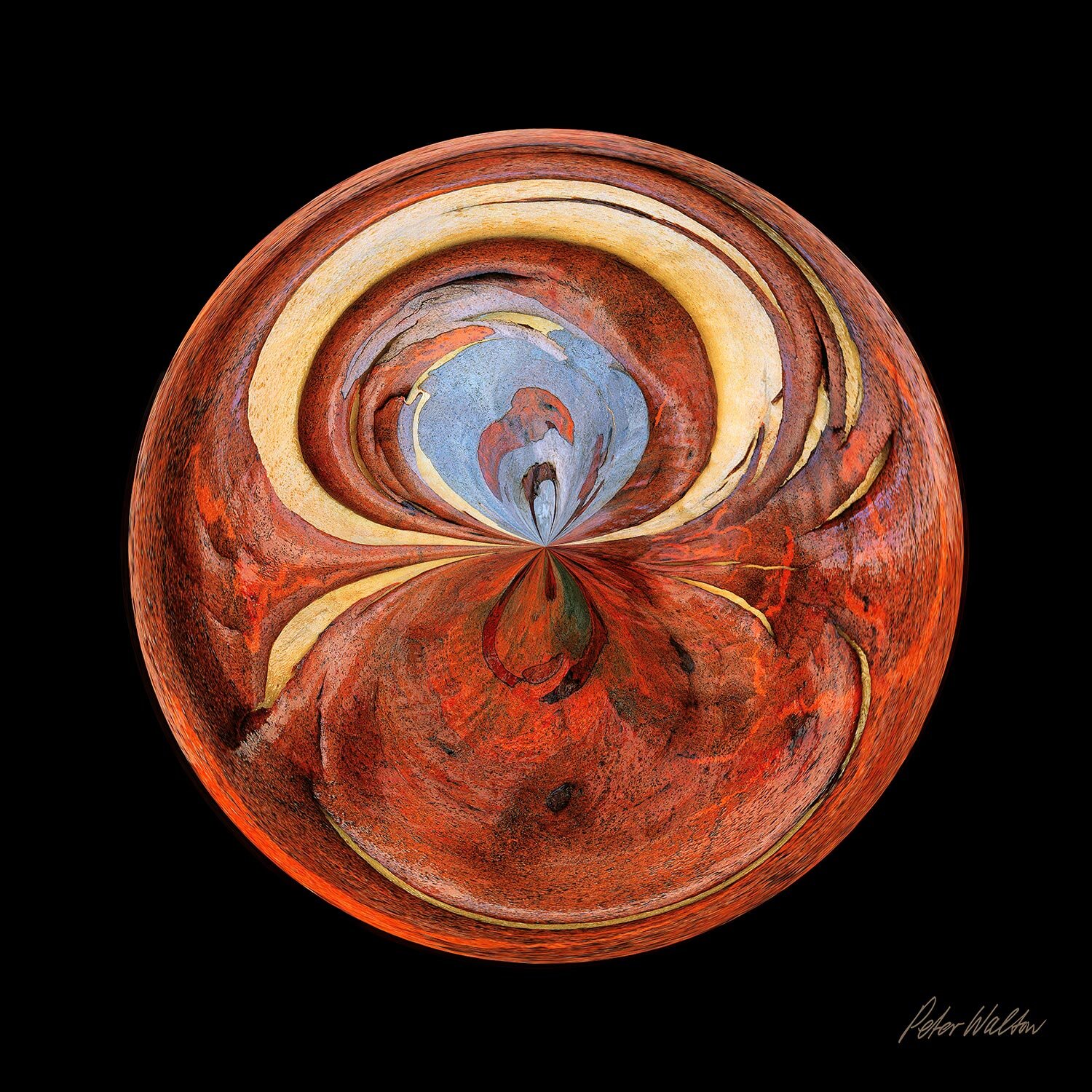 Bark Orb