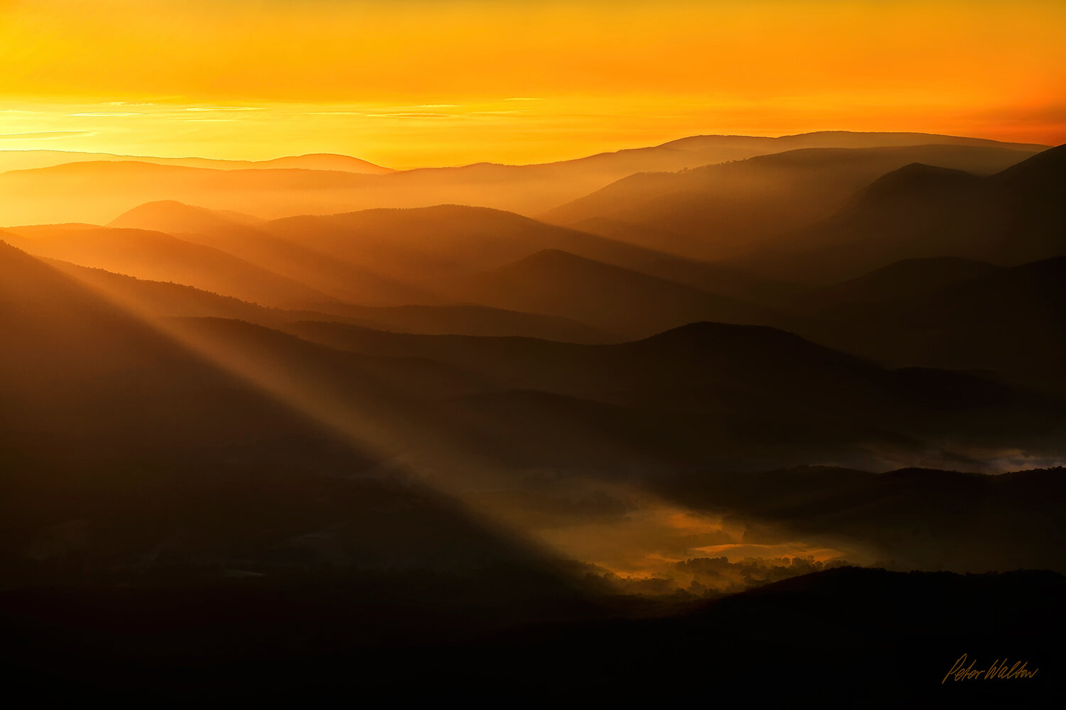 FIRST LIGHT
