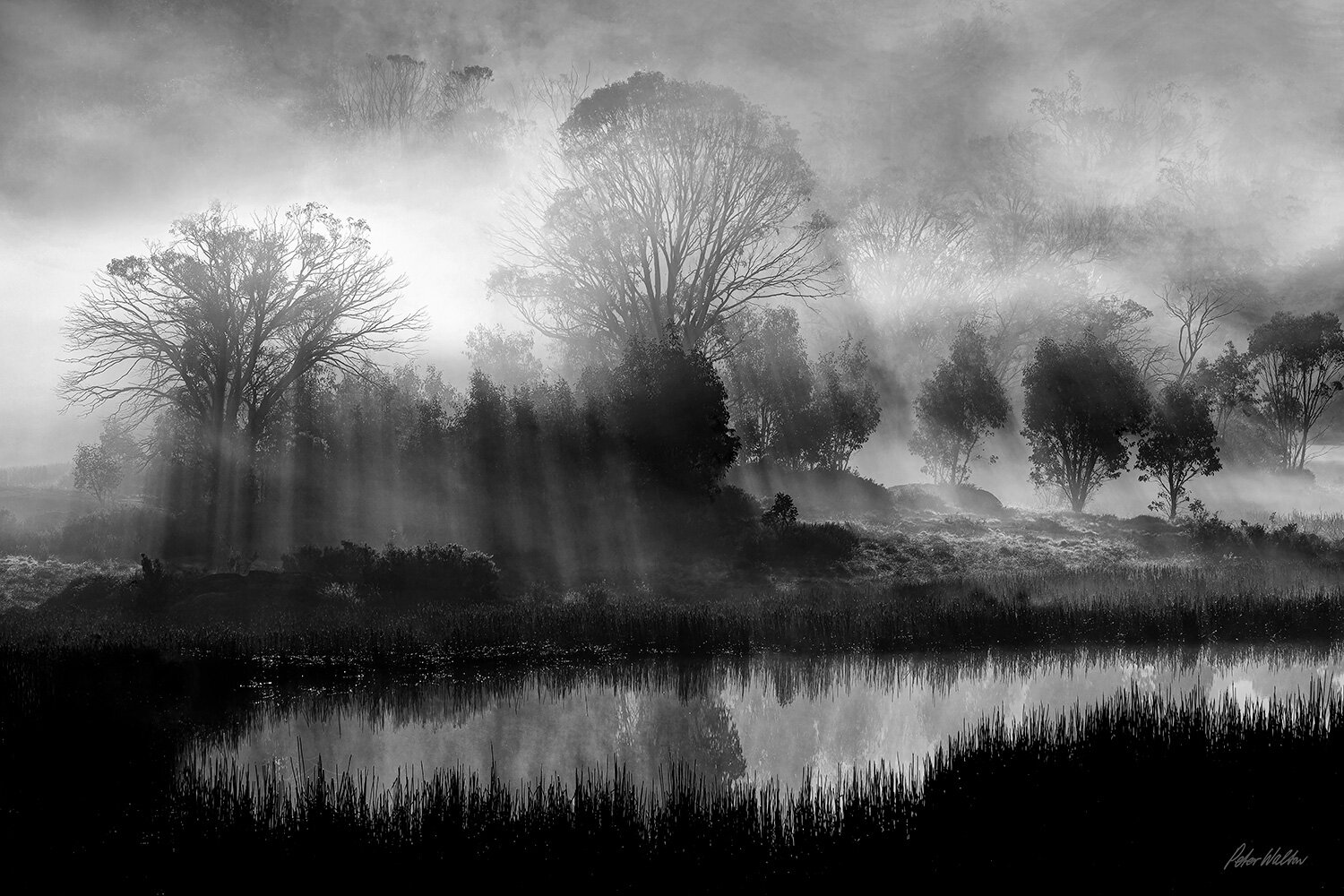 MORNING AT LAKE CATANI