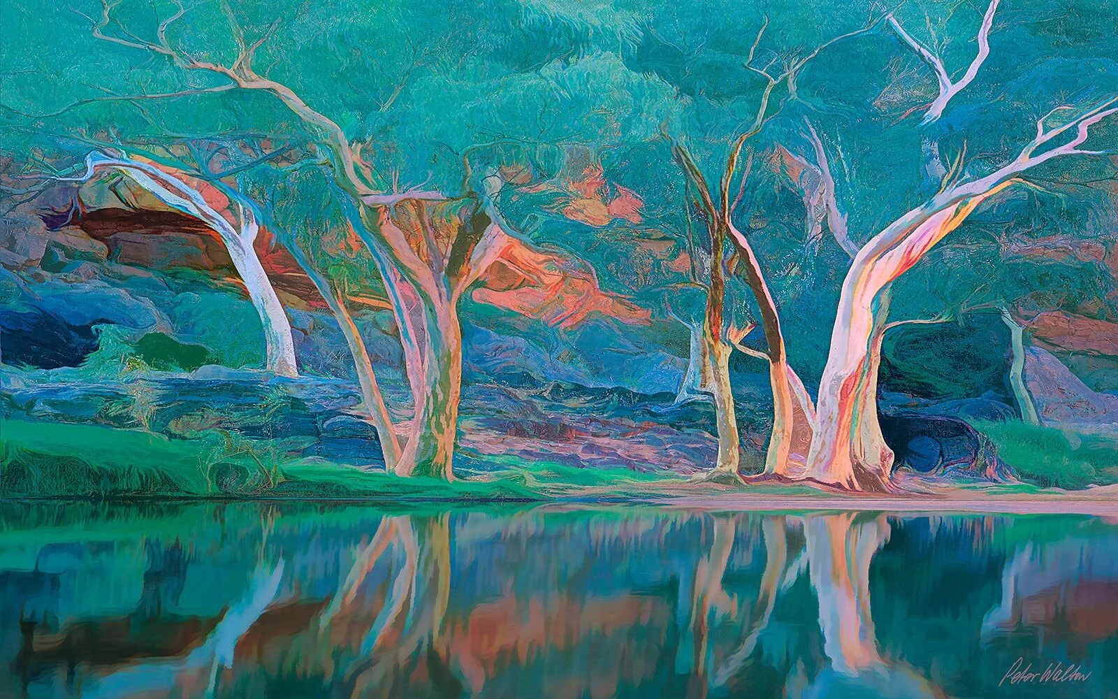 ORMISTON GUMTREES