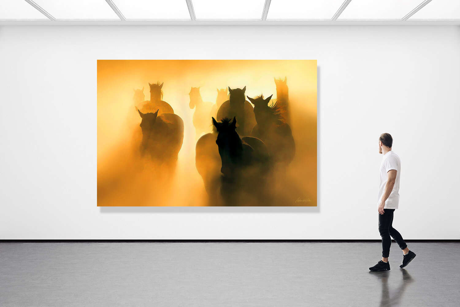 Out of the Dust-room.jpg