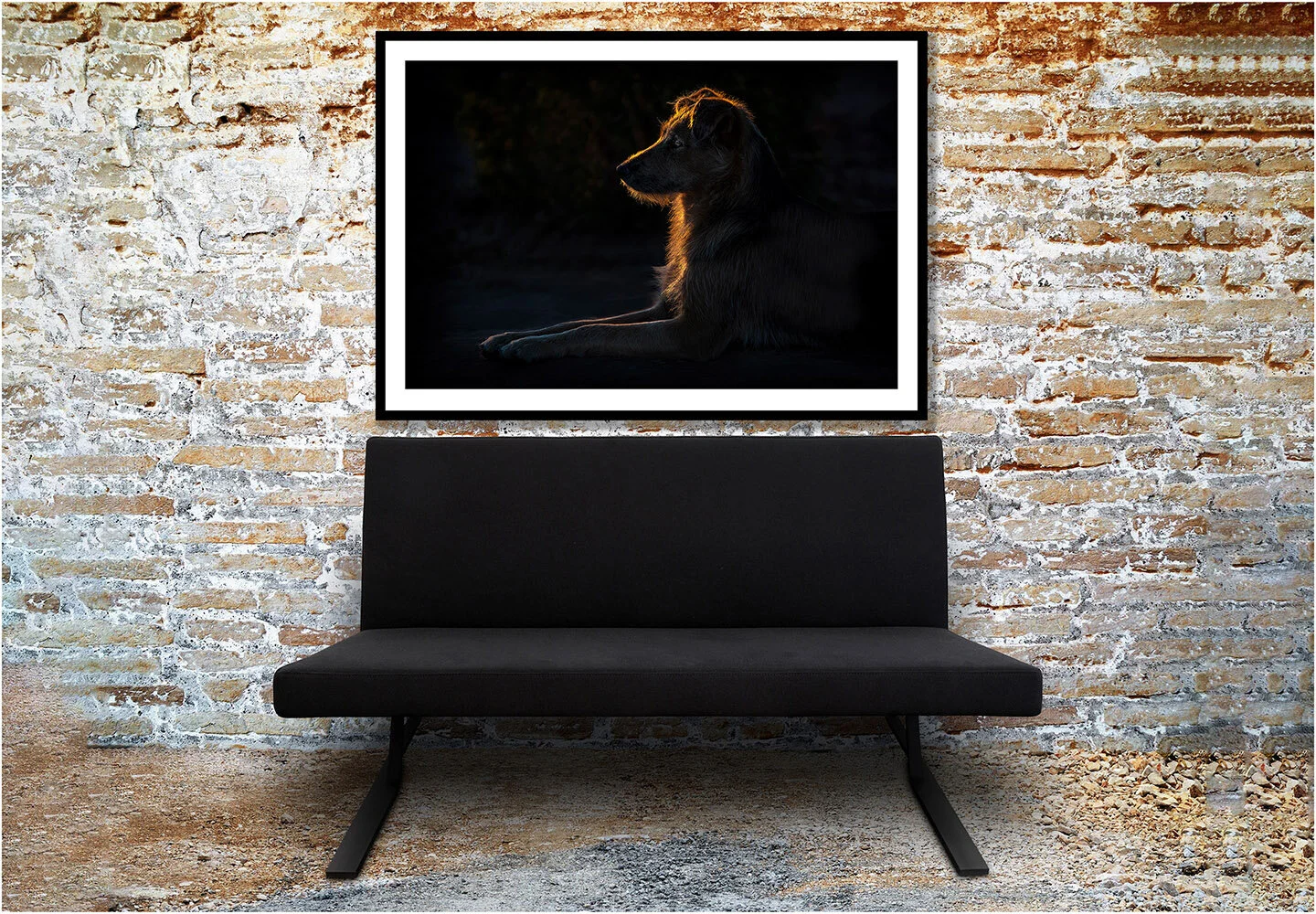 Thoughtful Dog in factory situation..jpg