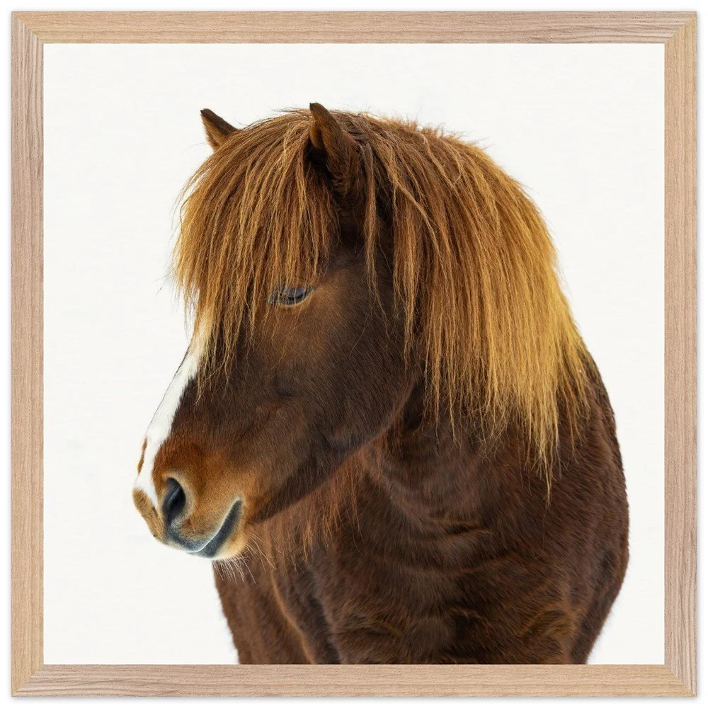 tmp-331-C3yo83hQs55O