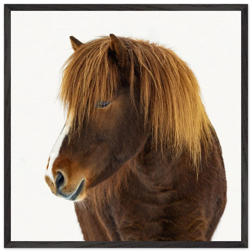 tmp-331-Ar6mIBNB0hOQ