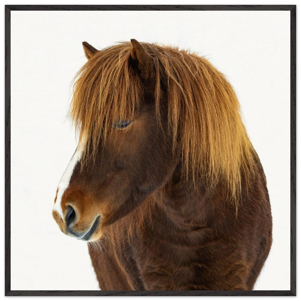 tmp-331-NR6F3HfstvJN