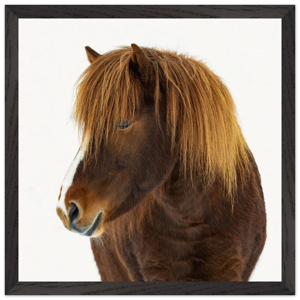 tmp-399-qA0AESLWUZTl