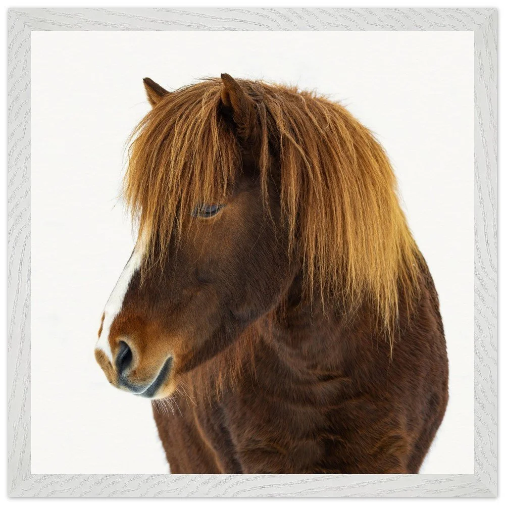 tmp-399-31Ppz1FL2XuL