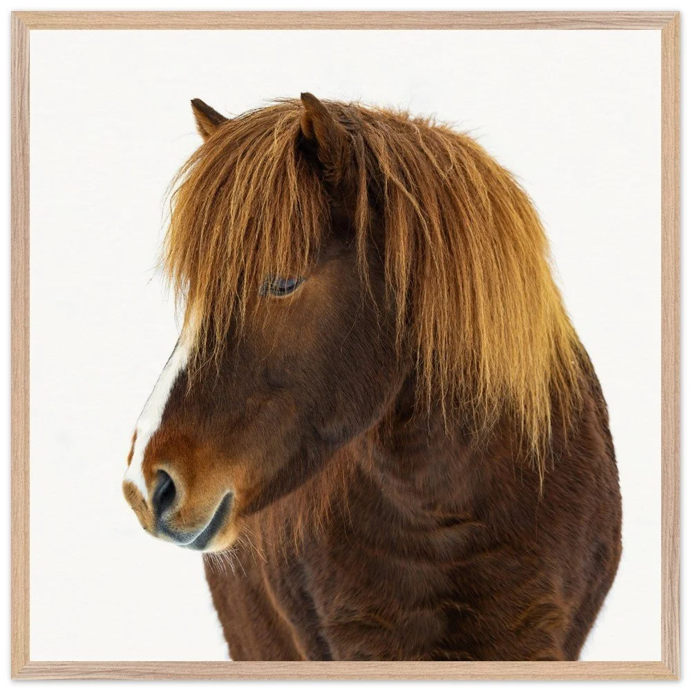 tmp-399-hCB55K1usyjt