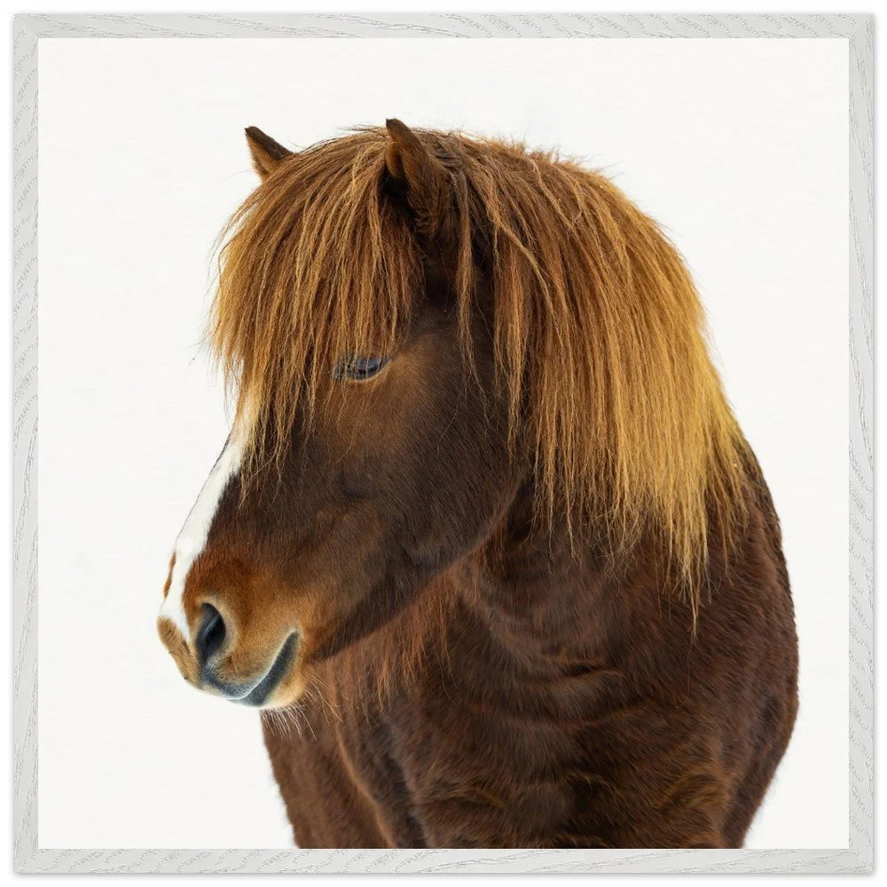 tmp-399-eA0TSsCYAxc0