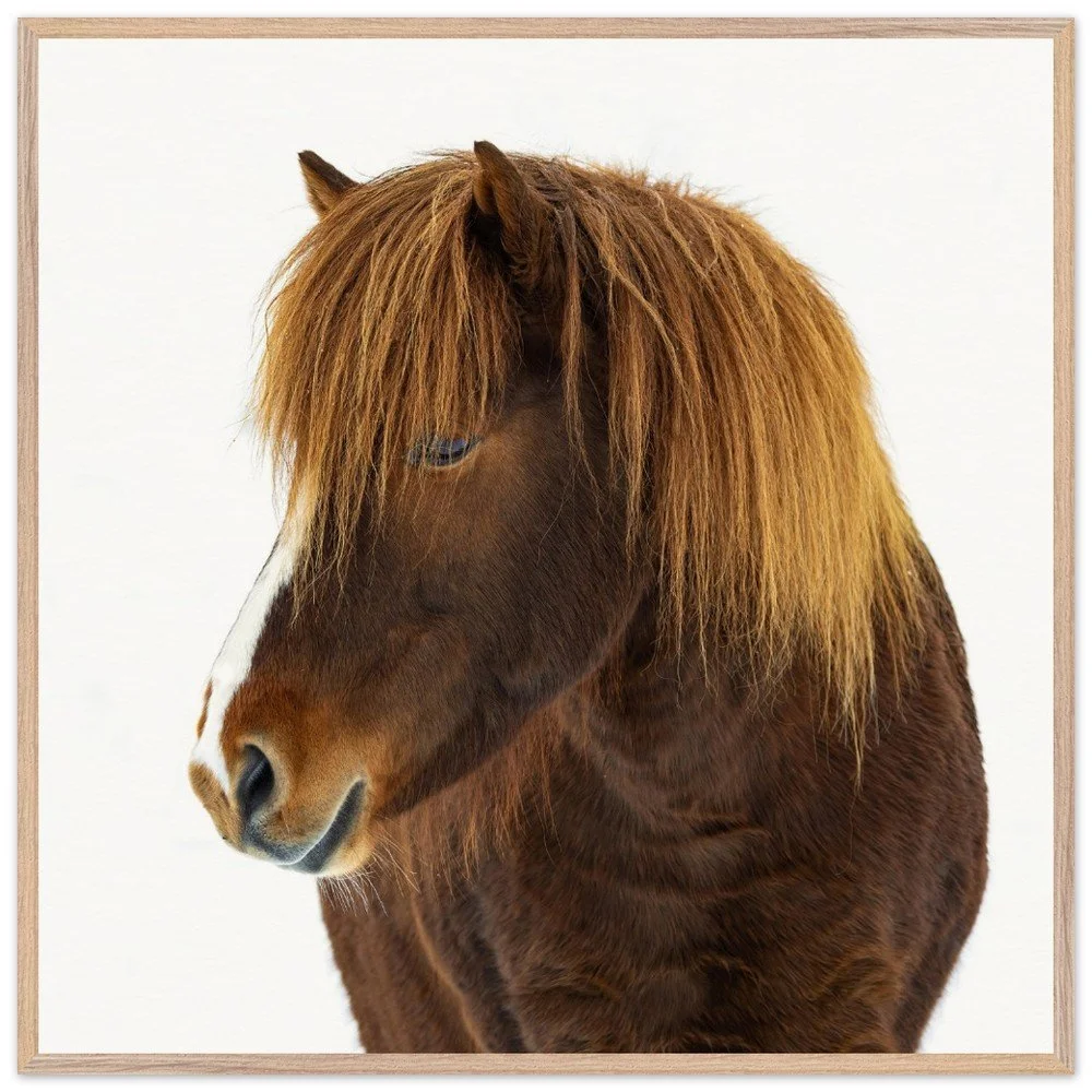 tmp-399-oB3niTx7kp7h