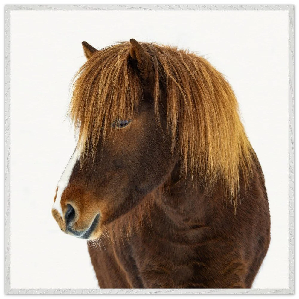 tmp-399-H7PKmGPJaNkm