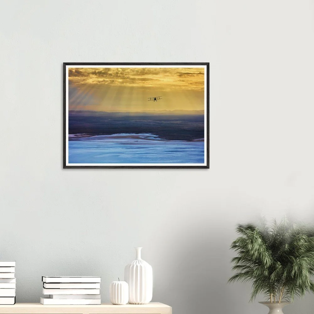 tmp-374-2VFP4hUMZPw6