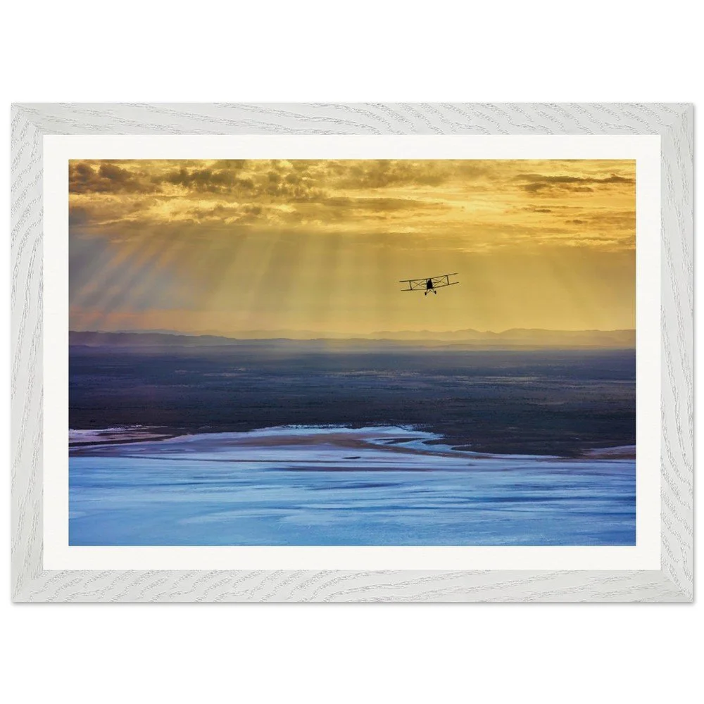 tmp-374-BQR2ehnaVkLy