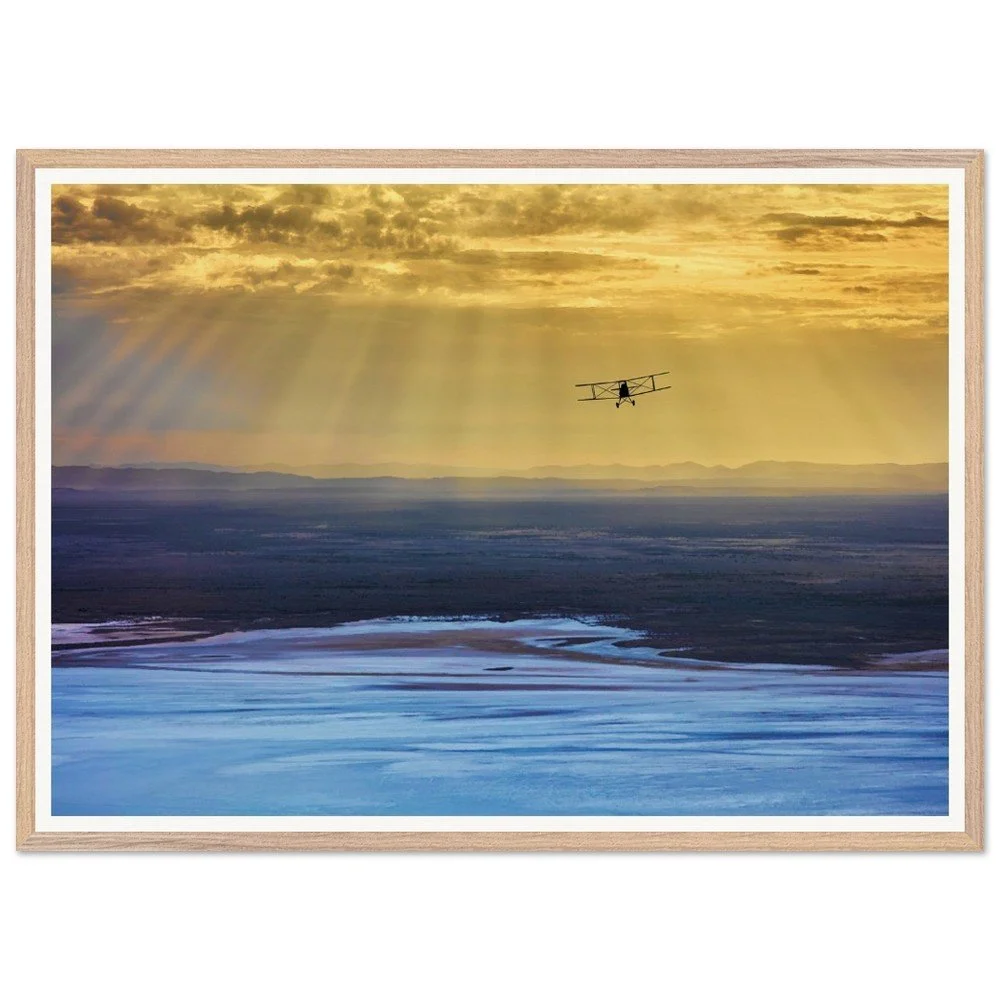 tmp-374-8m57FamFiWPi