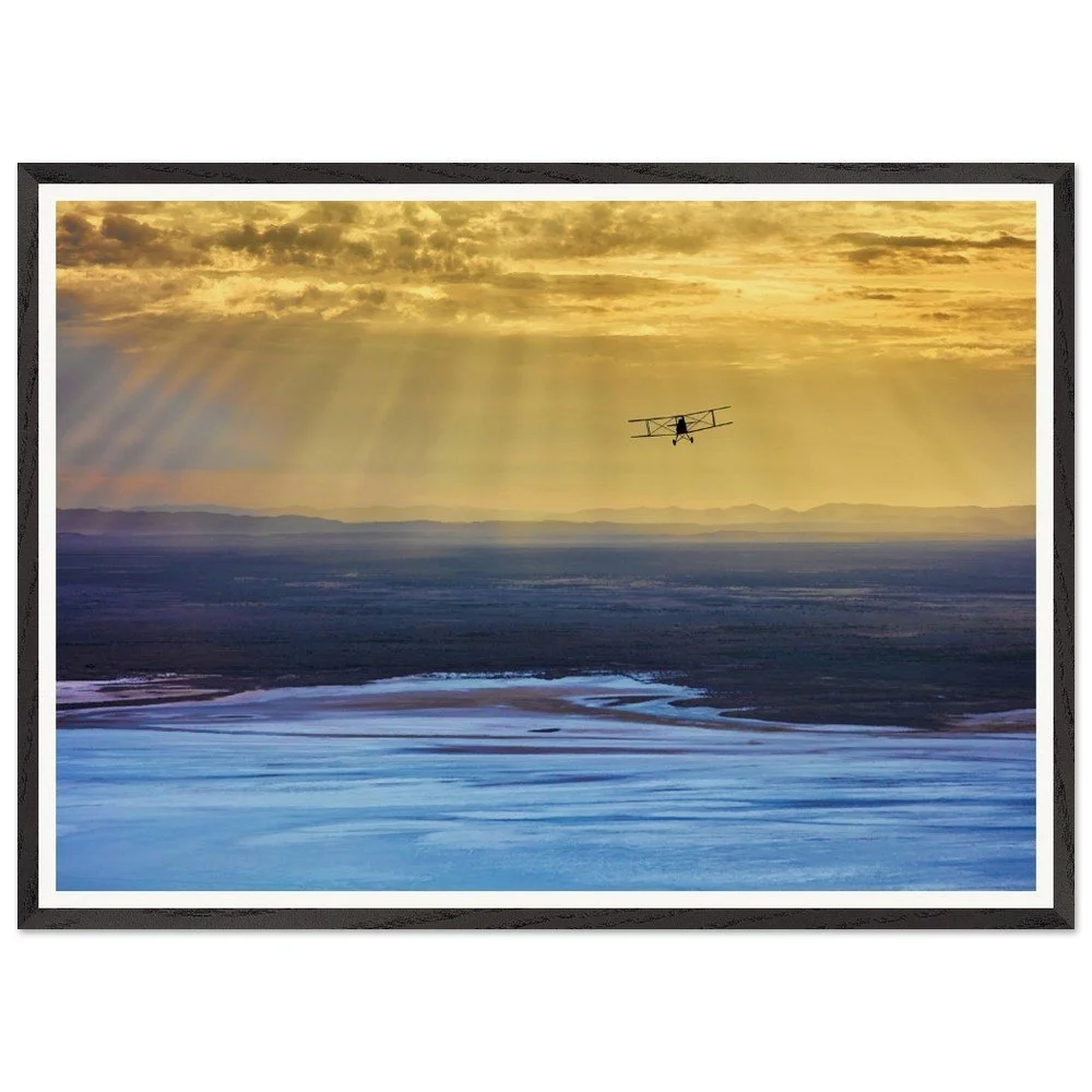 tmp-339-NF8CoIIkYK3F