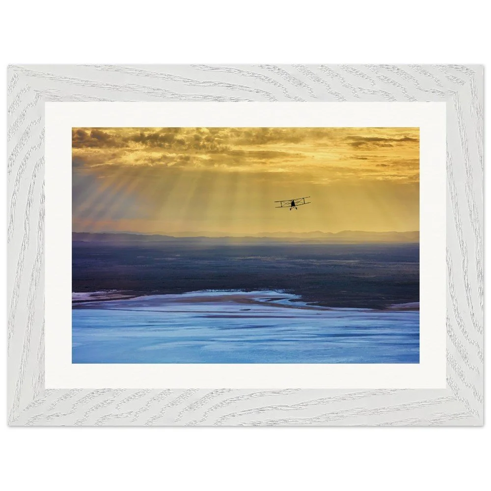 tmp-339-mnlHyVPo4LMu