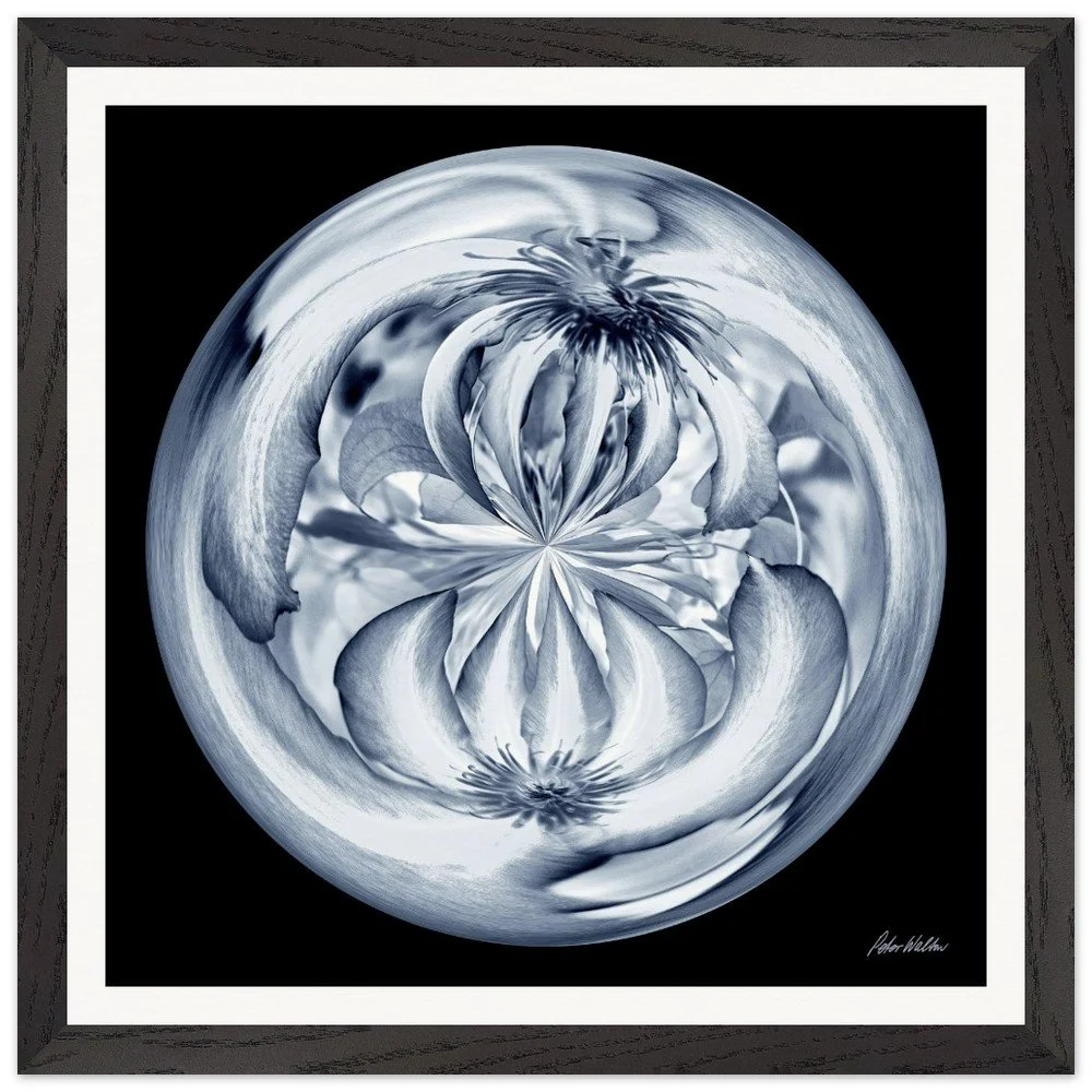 tmp-360-wyfW9VKi5moQ