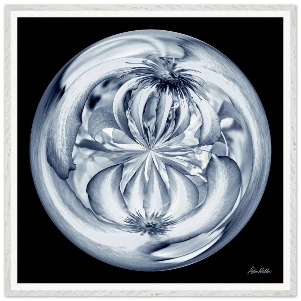 tmp-360-95xoRGAf5j8P