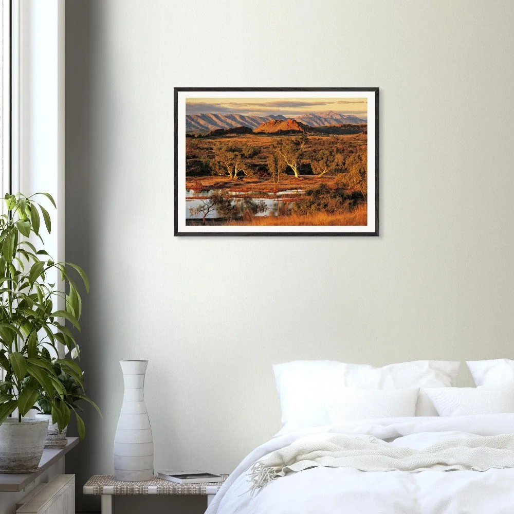 tmp-355-CuOaWYDCBUEU