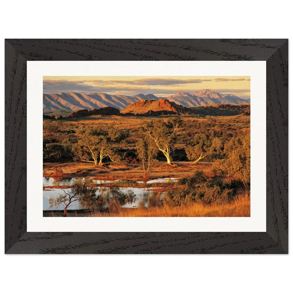 tmp-355-nhlgoHdAm9ND