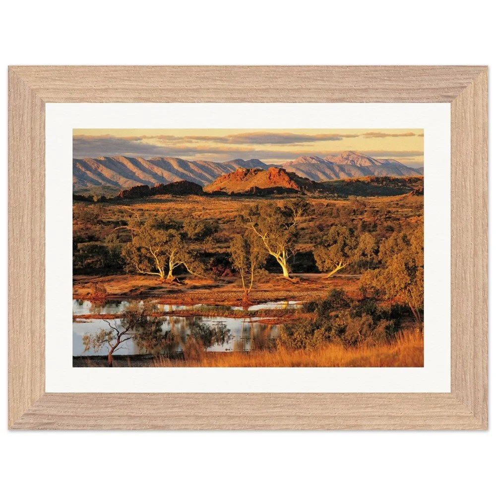 tmp-355-EUpRJPZO2snI