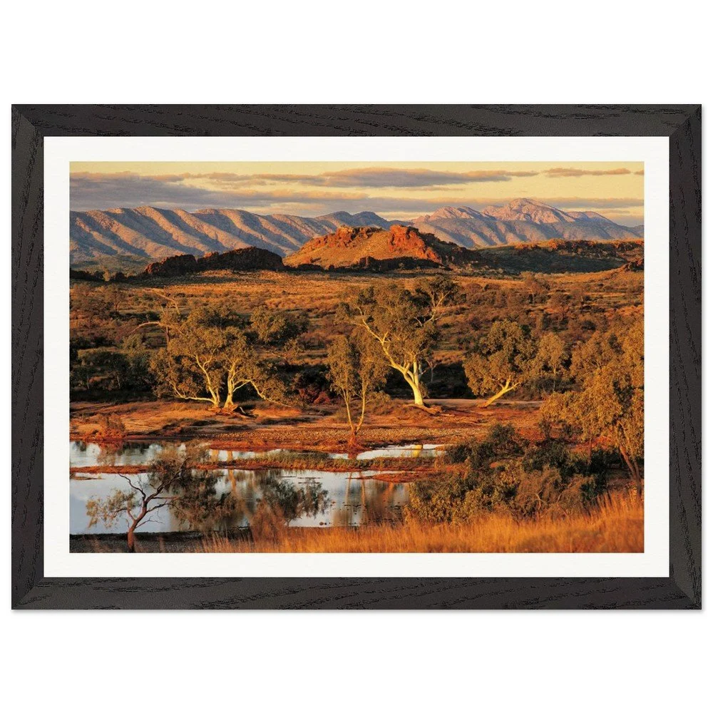 tmp-355-NX6CNQjxd1cR