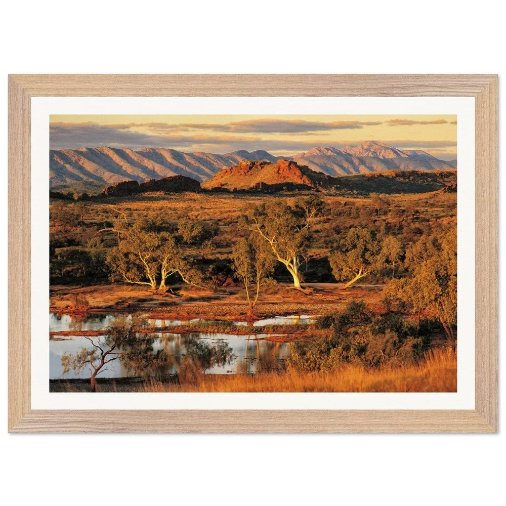 tmp-355-GgxlpXW3BEI6