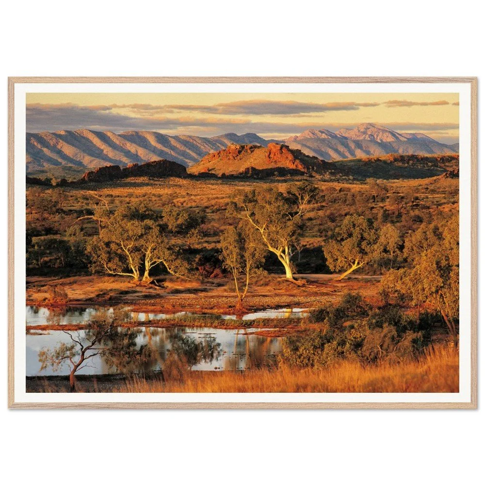 tmp-355-JOuhfZvUNbR2