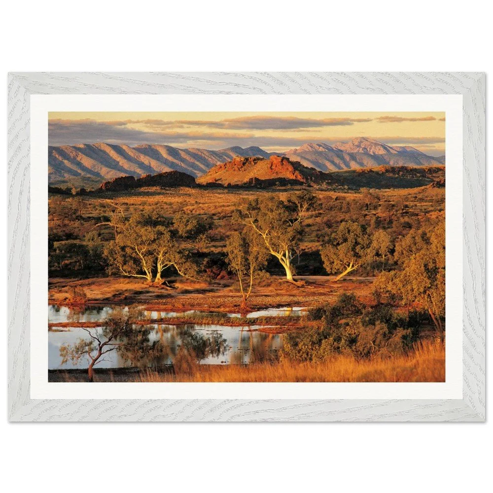 tmp-276-GcRJlpTZgykz