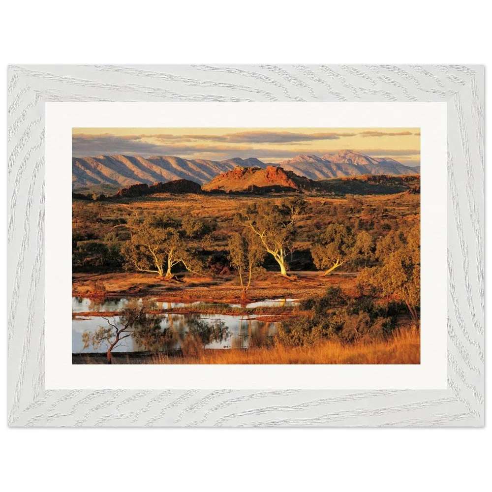 tmp-320-vg9uDnLMDSR9