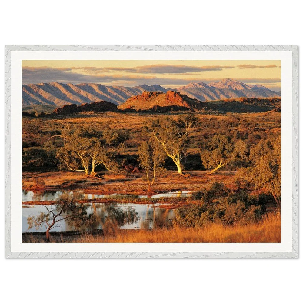 tmp-320-EG4Eq5pAquk9