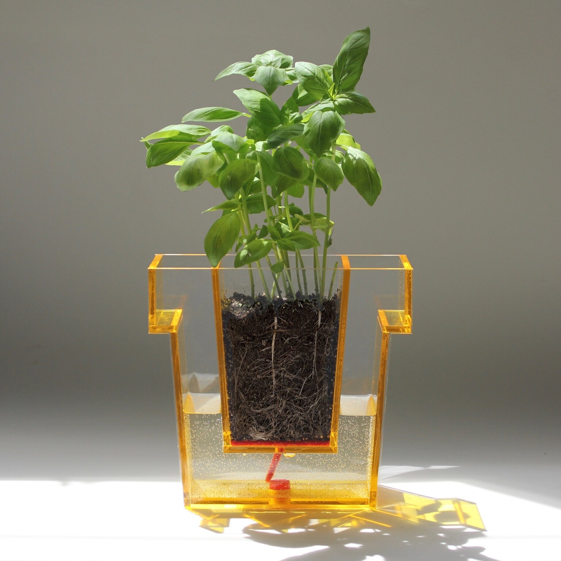 Self Planter