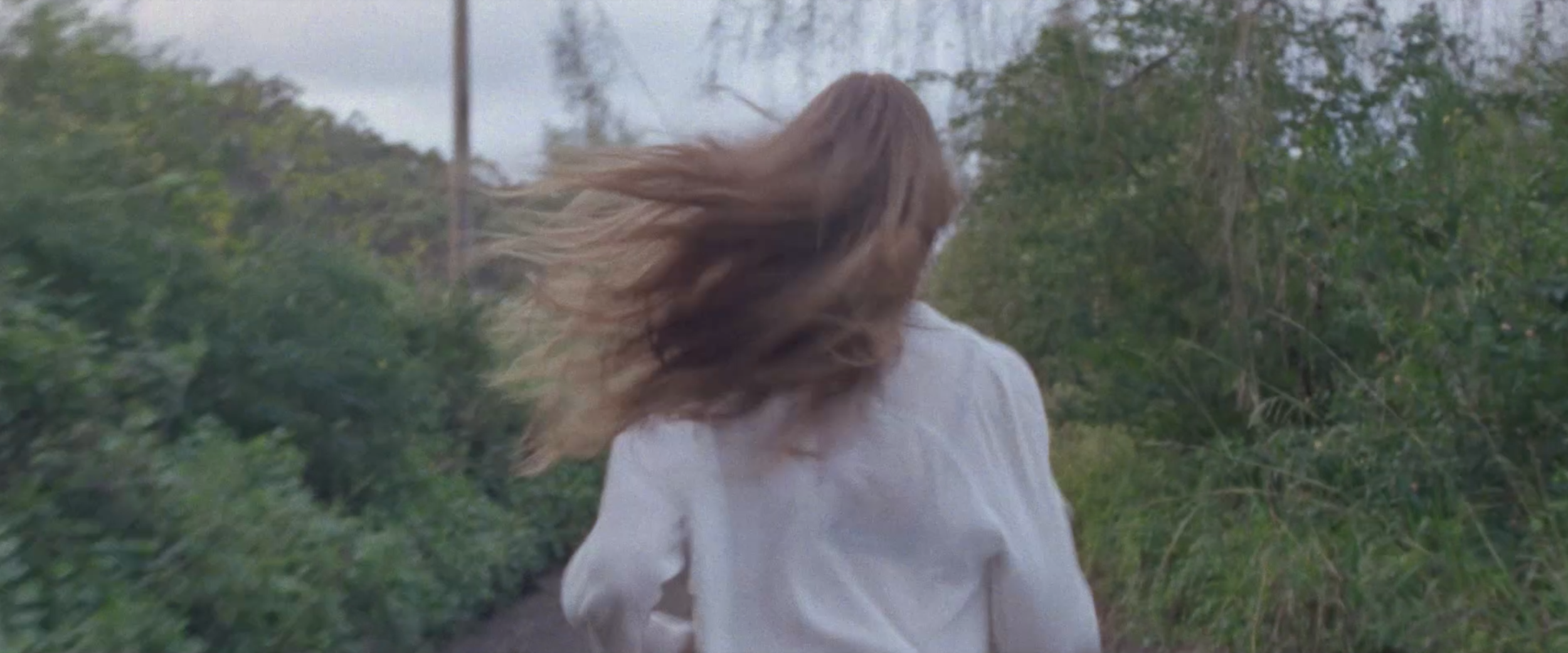 Screen Shot 2017-06-26 at 3.03.09 PM.png