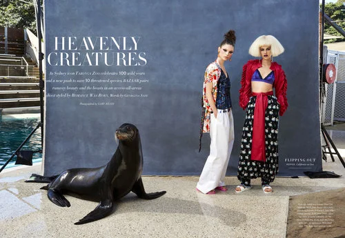 Fashion+Zoo-1.jpg