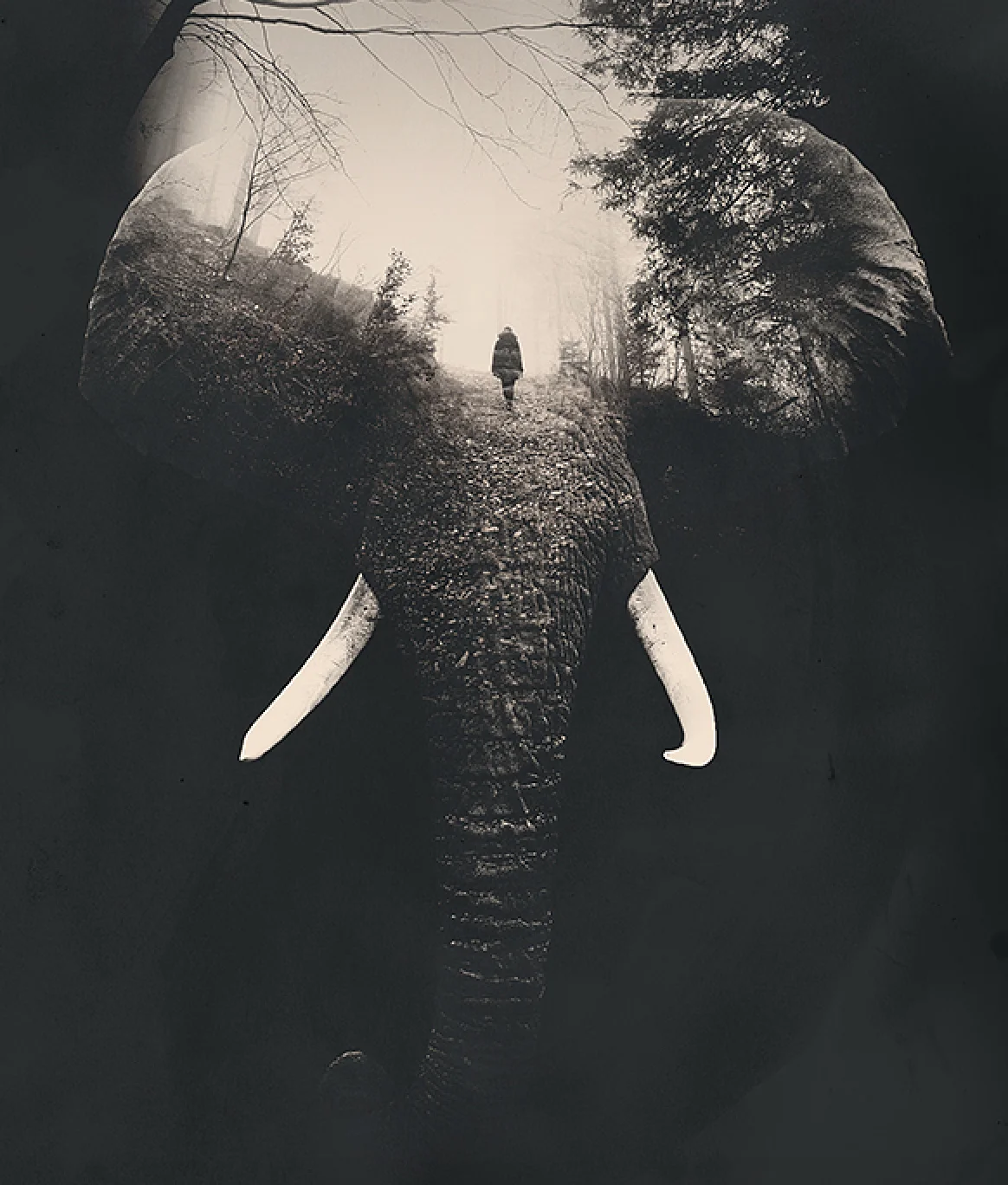DoubleExposure-8.jpg