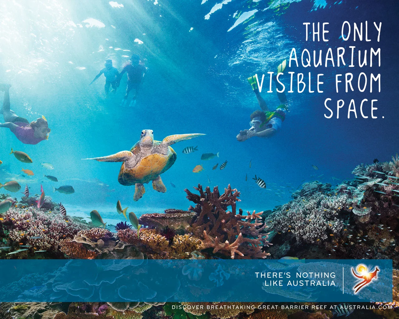 wallpaper-standard-great-barrier-reef1.jpg