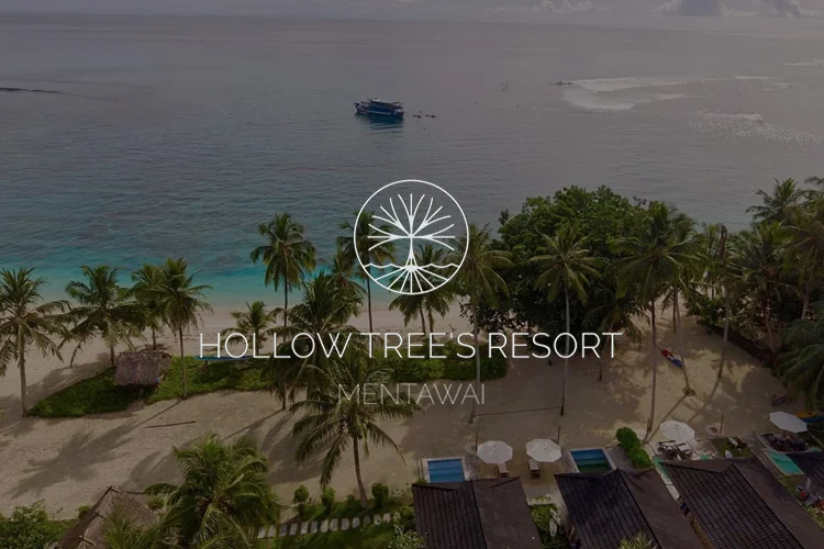 //HOLLOW TREE'S RESORT, Mentawi