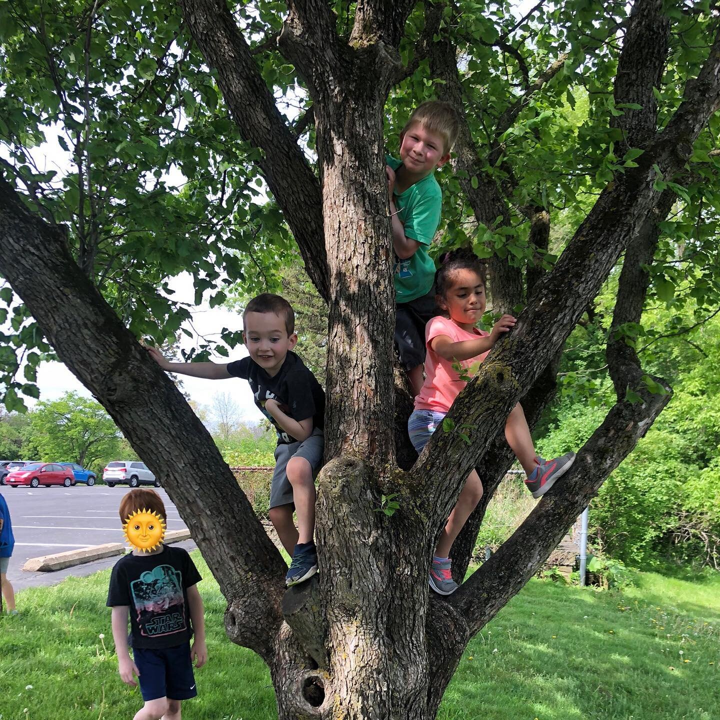 Go climb a tree! Tree climbing builds muscle strength, problem solving skills and hand eye coordination all while strengthening our bond with nature 🌳