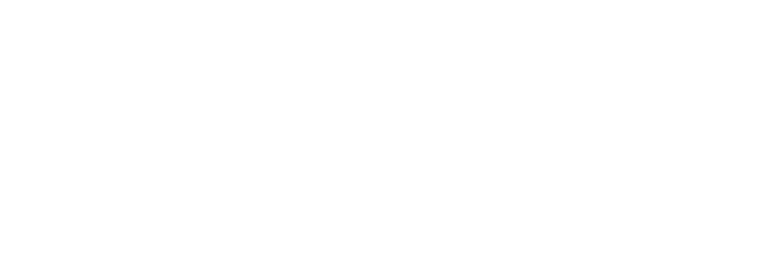 Thurin Law Group, PLLC - Legal & Business Consulting