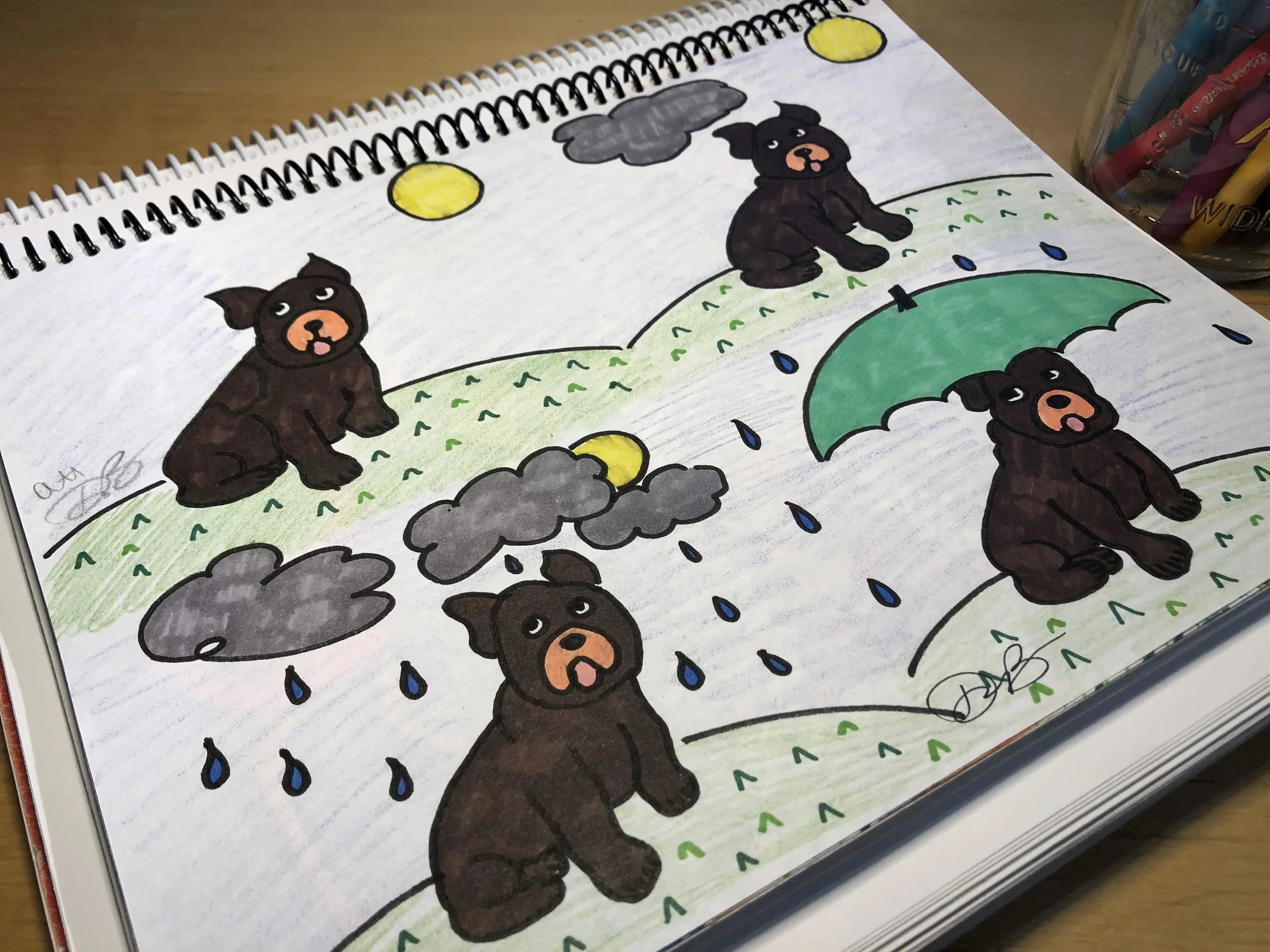 the dog and the umbrella.jpg