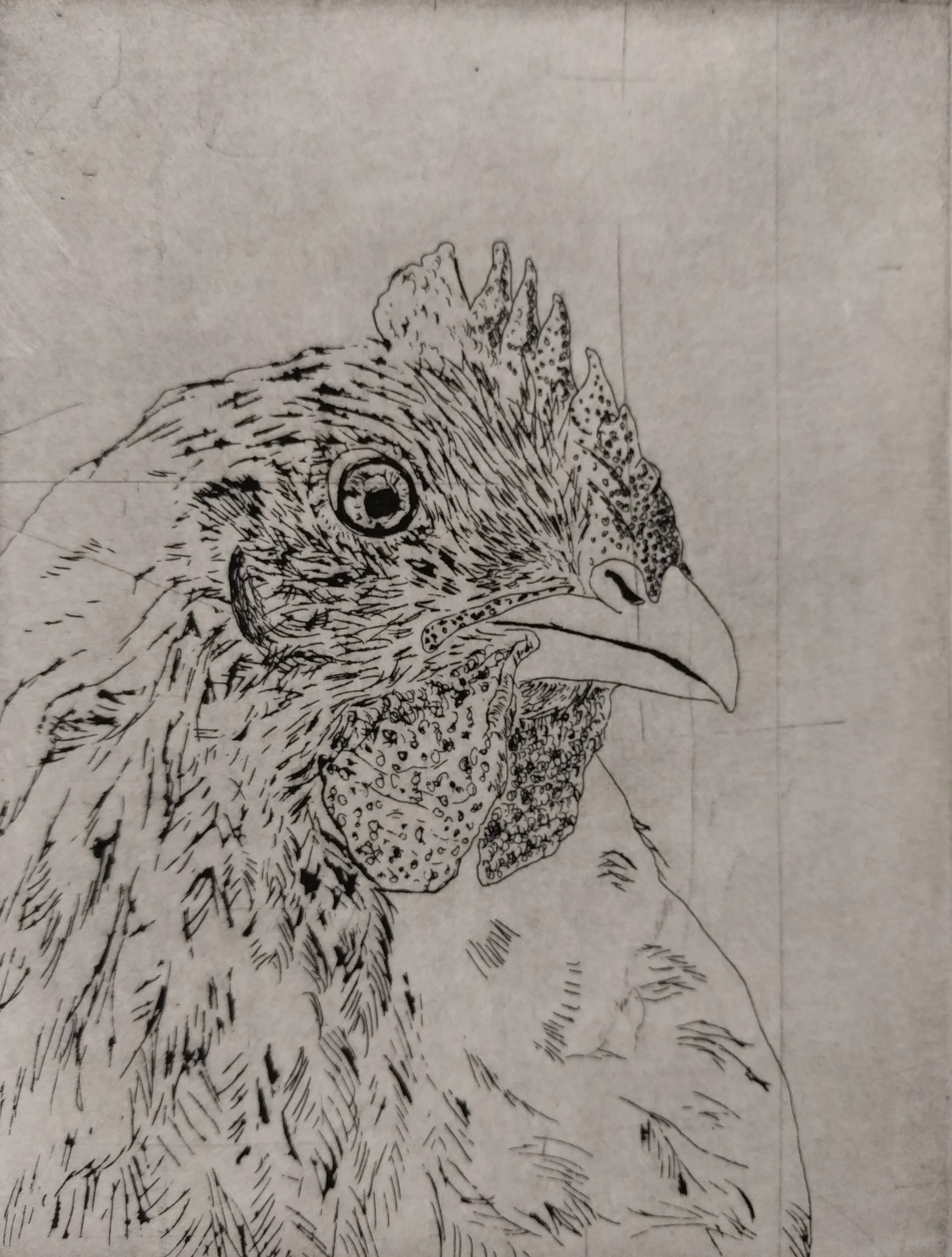 Chicken in Black