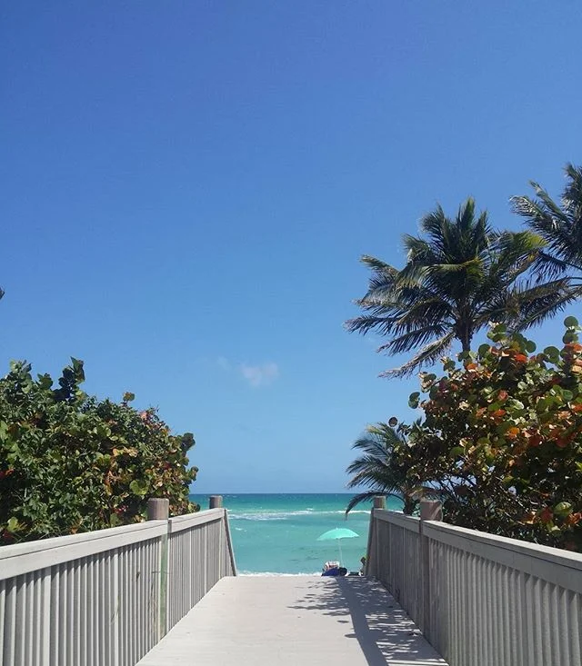 Beach more worry less..#vacationmode #countdown #travel #palmtrees #beach #tan #beachview