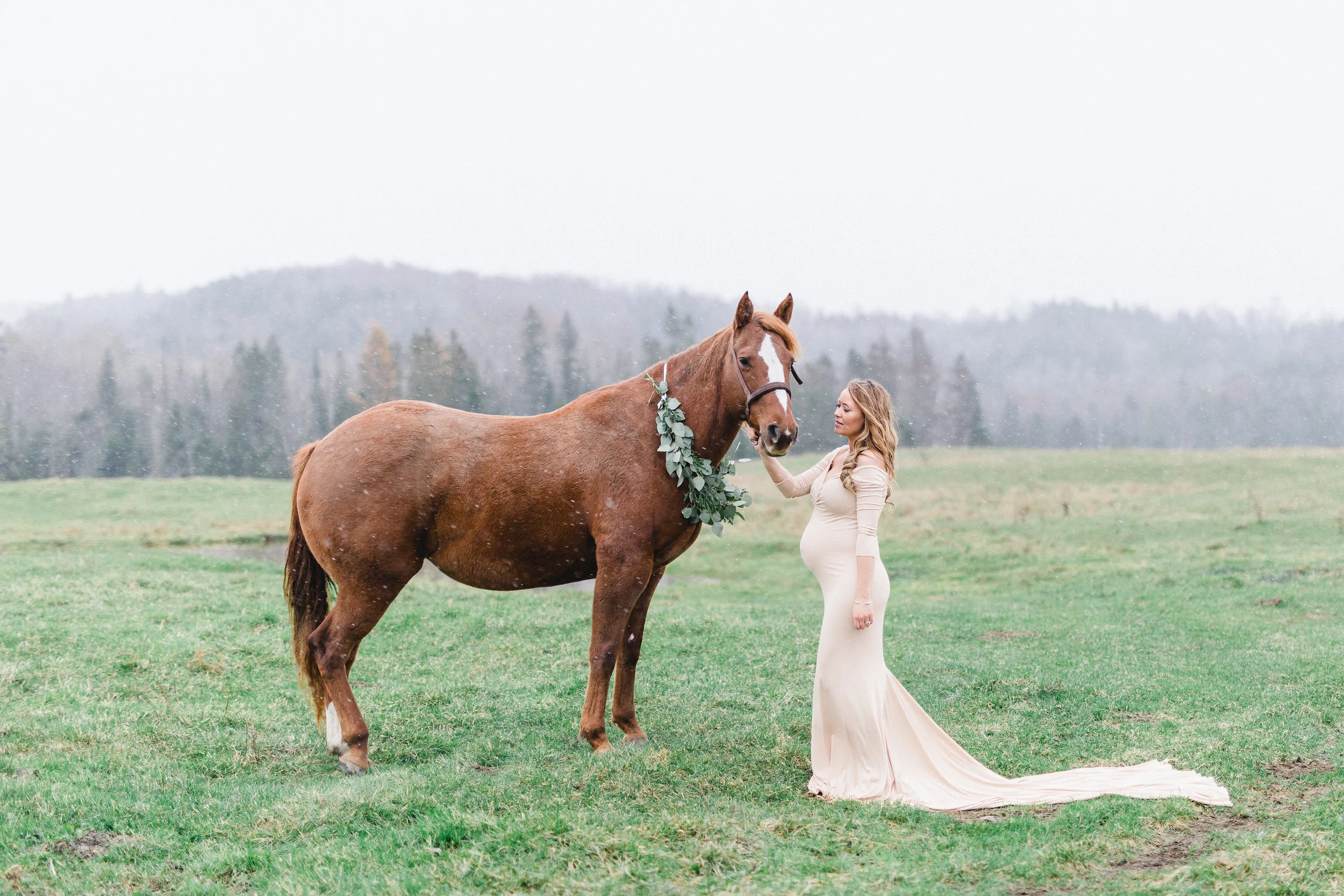 Maternity-photos-horse-garland-snow-wakefield-ontario-ottawa-98.jpg