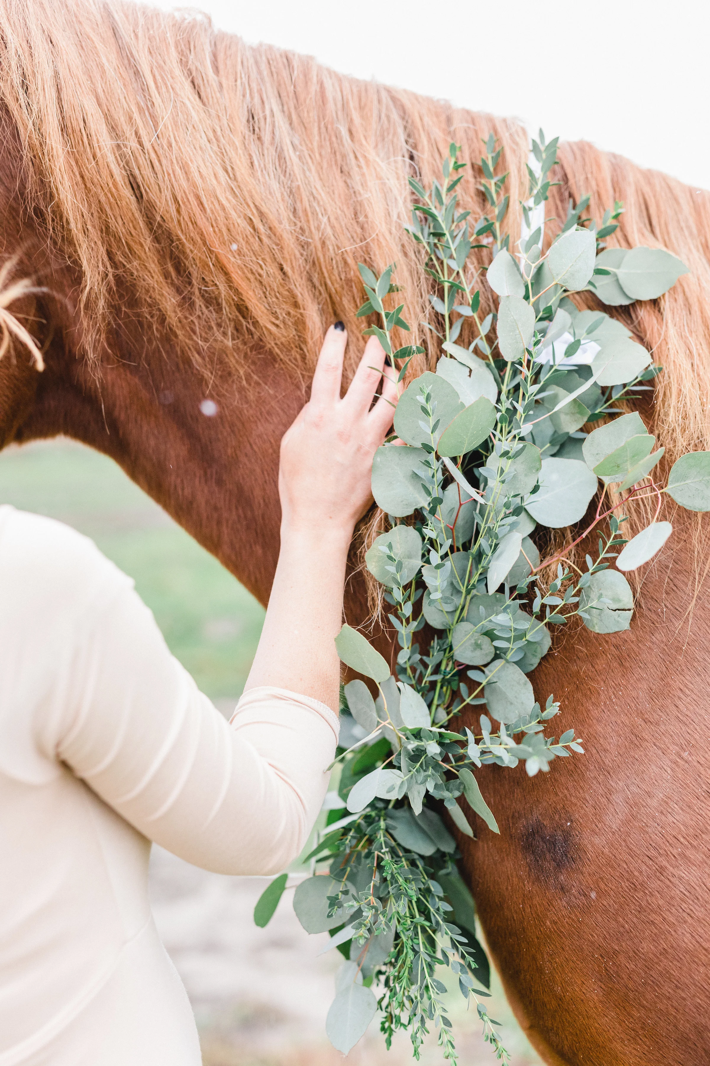 Maternity-photos-horse-garland-snow-wakefield-ontario-ottawa-115.jpg
