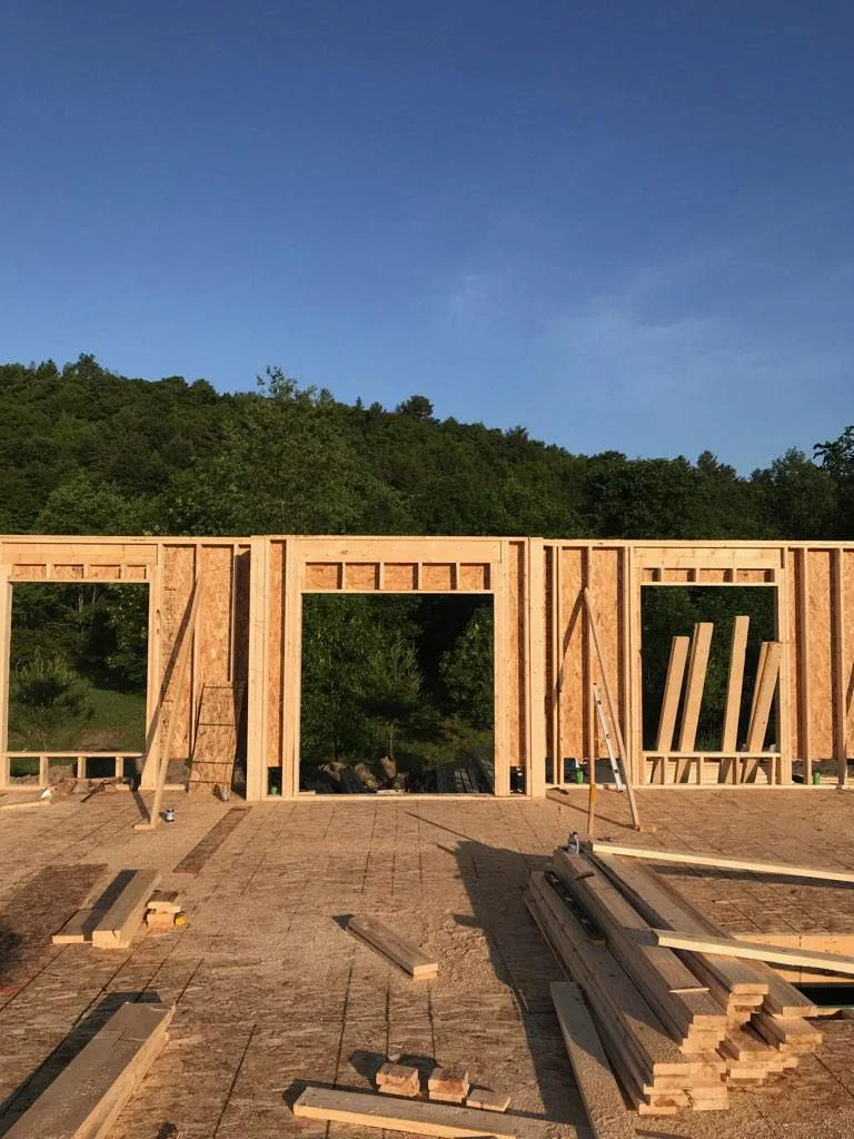 Front entry and our dinning room + playroom windows
