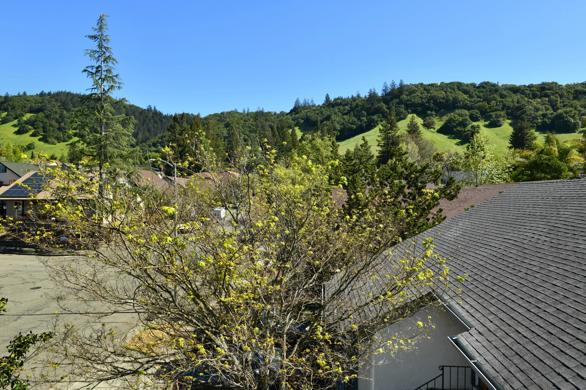 VWN_0808-f.jpg
