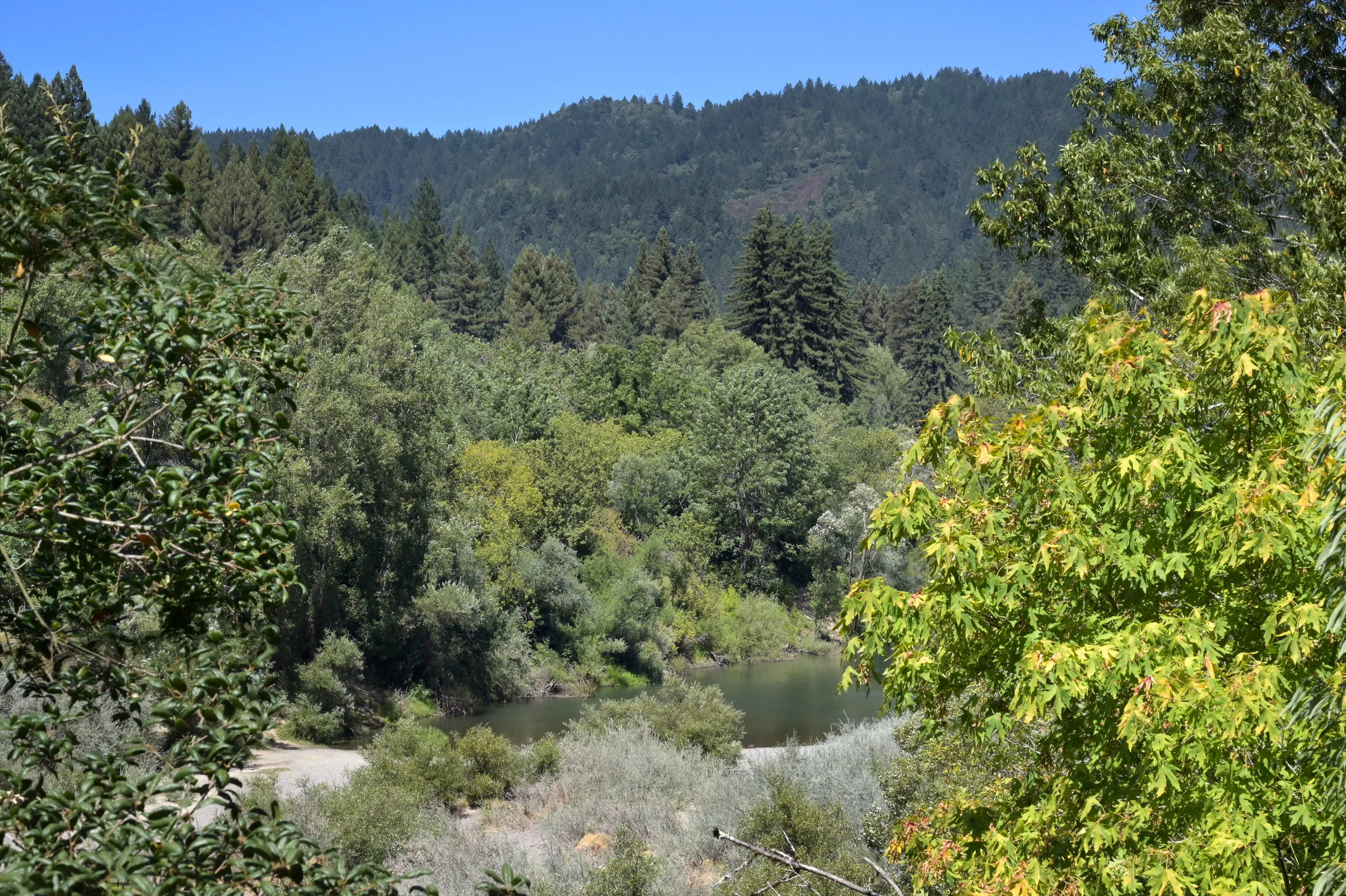 DSC_4862-f.jpg