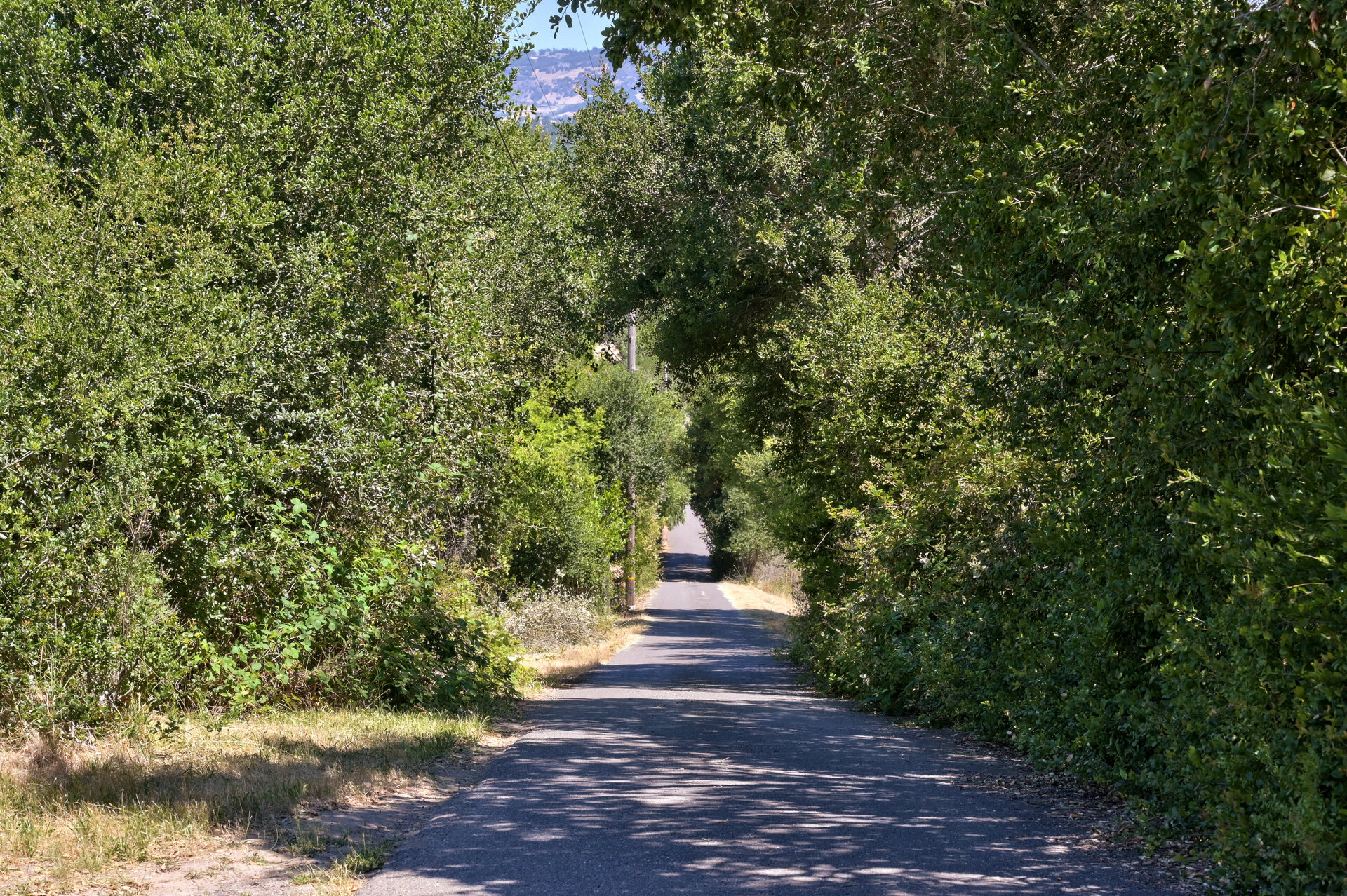 DSC_5877.jpg