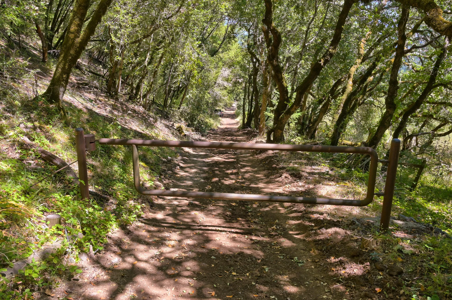 DSC_5852.jpg