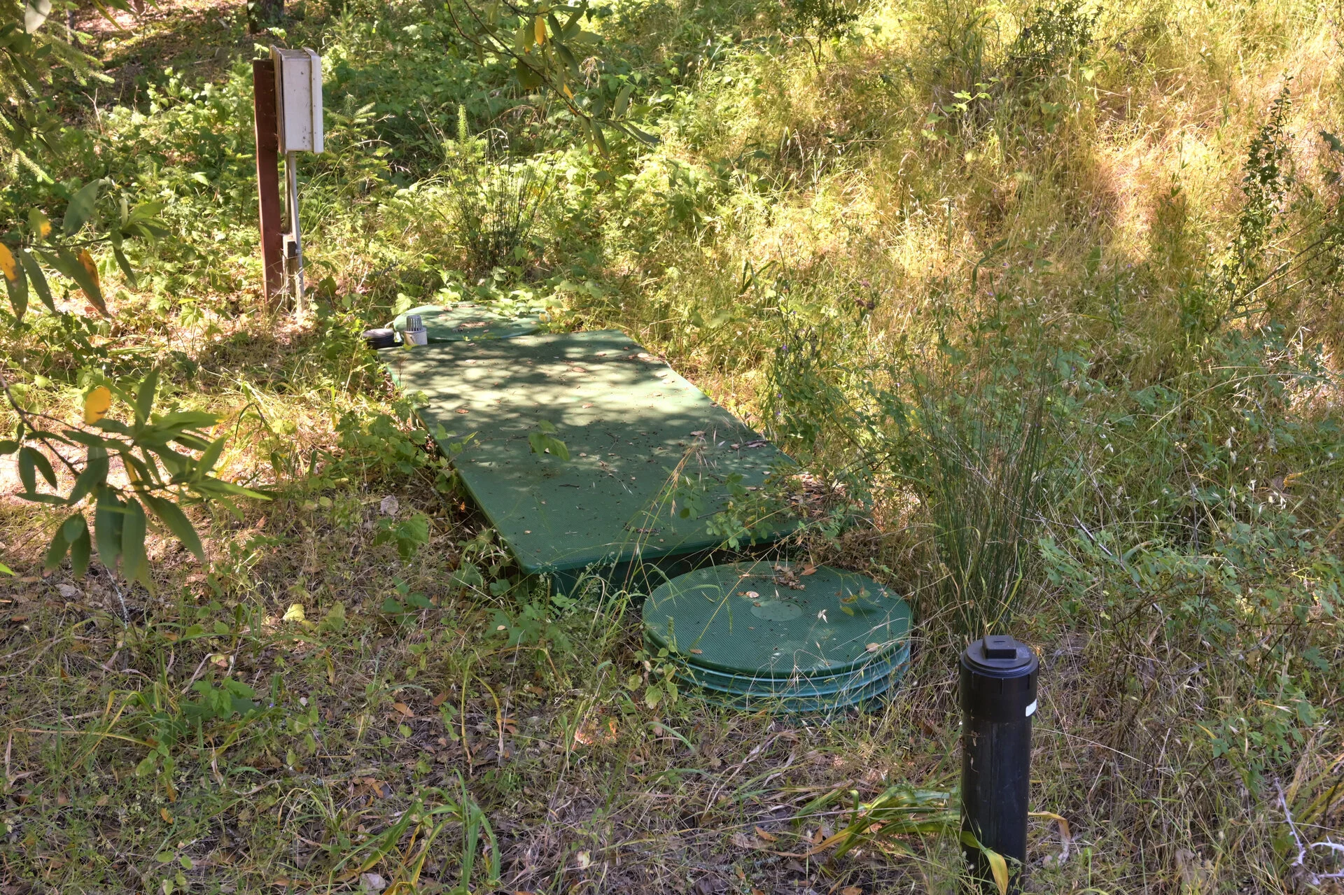 DSC_5842.jpg